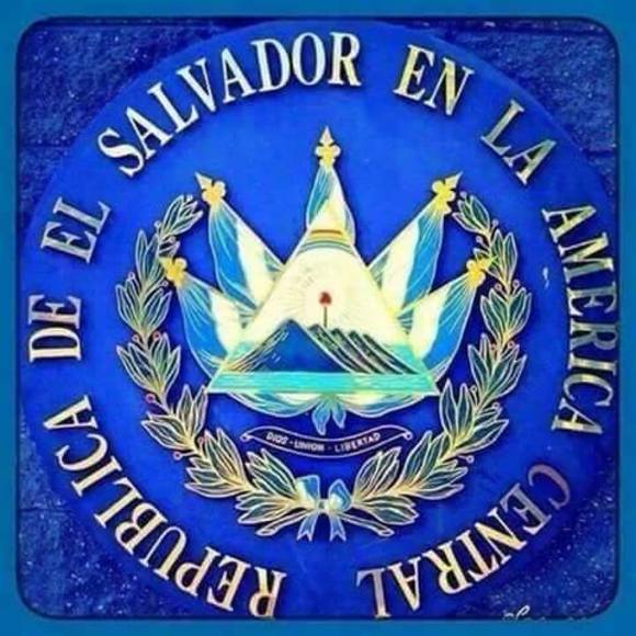 Meet your Posher, Daniel - Picture 1 of 1